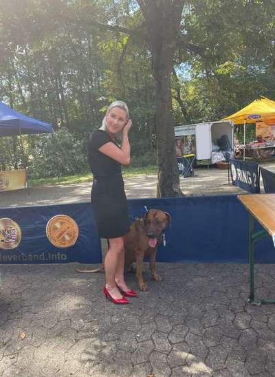 Rhodesian Ridgeback-Beitrag-Bild