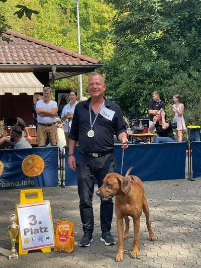 Rhodesian Ridgeback-Beitrag-Bild