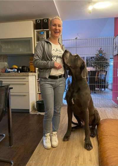 Rhodesian Ridgeback-Beitrag-Bild