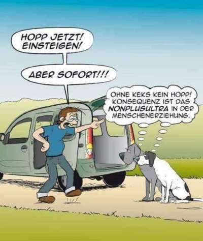 Rhodesian Ridgeback-Beitrag-Bild