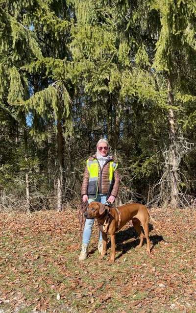 Rhodesian Ridgeback-Beitrag-Bild