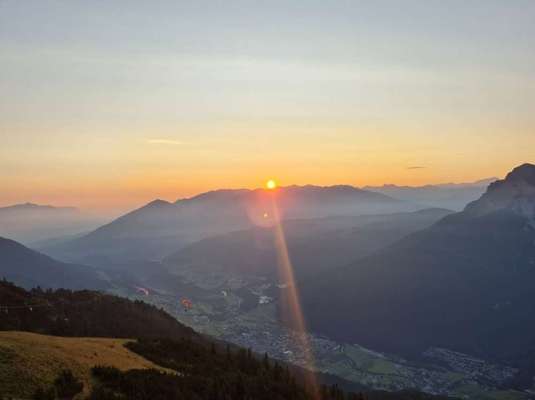 Rhodesian Ridgeback-Beitrag-Bild