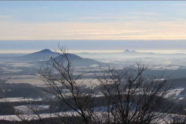Rhodesian Ridgeback-Beitrag-Bild