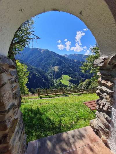 Rhodesian Ridgeback-Beitrag-Bild