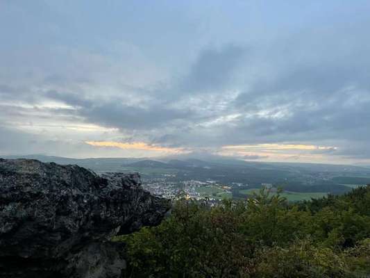 Rhodesian Ridgeback-Beitrag-Bild