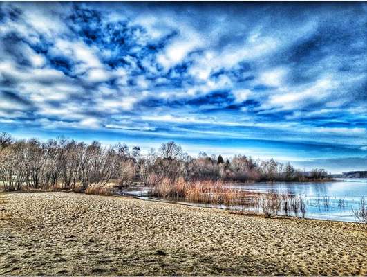 Rhodesian Ridgeback-Beitrag-Bild