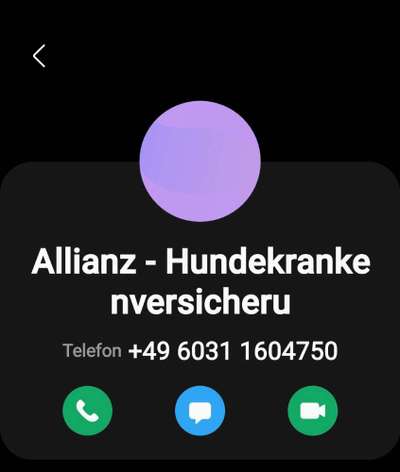 Versicherungs suche-Beitrag-Bild