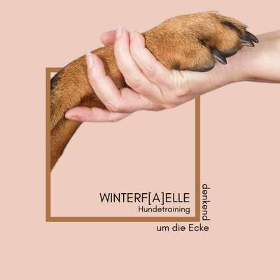 Hundeschulen-Winterfaelle/Hundetraining Meerbusch-Bild