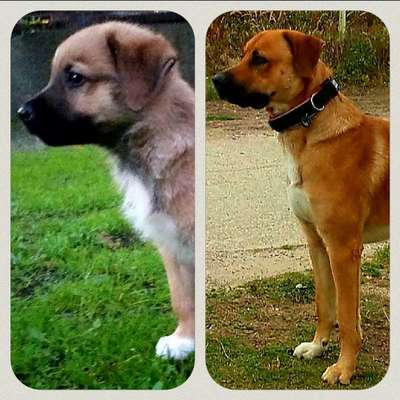 Vorher.... Nachher-Beitrag-Bild