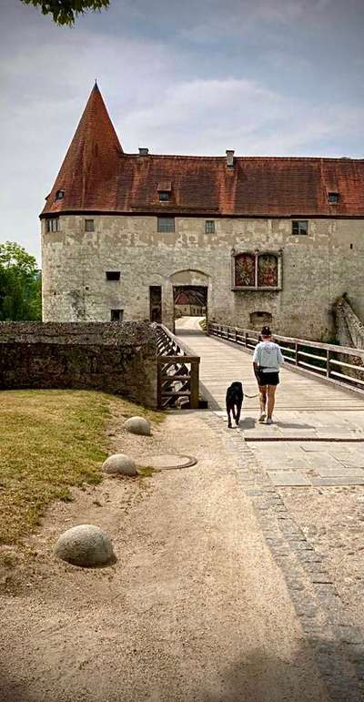 9. Collagen-Challenge 
Mein Hund und Kirchen, Ruinen, Schlösser, Burgen etc...-Beitrag-Bild