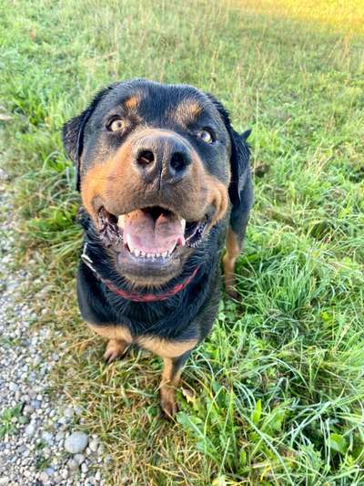 Das beste grinsefoto-Beitrag-Bild