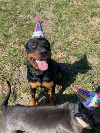 8. Collagen Challenge - Feste/Feierlichkeiten-Beitrag-Bild