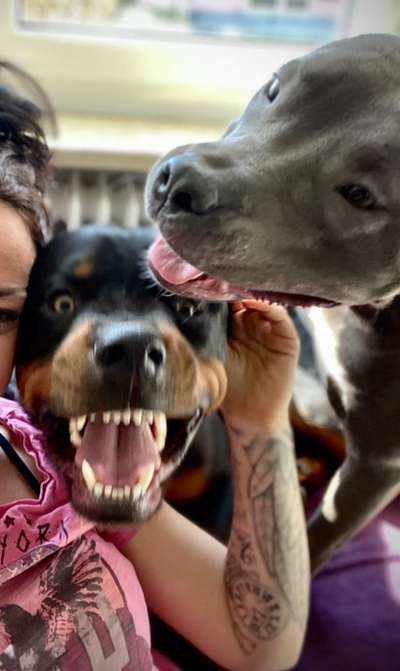 26. Handy Foto Challenge-Beitrag-Bild