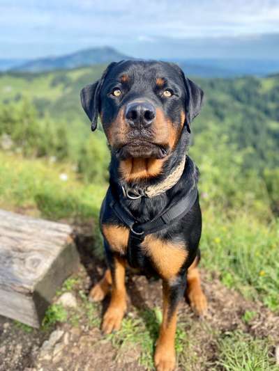 Außergewöhnliche Merkmale-Beitrag-Bild