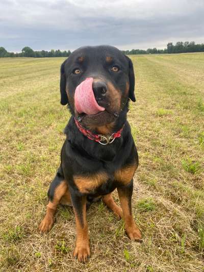 18. Collagen Challenge - Zunge raus!-Beitrag-Bild