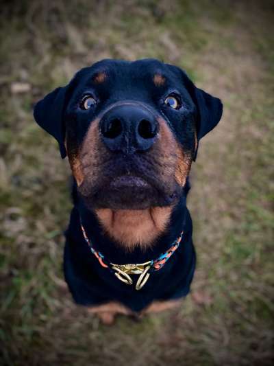 Handy-Foto Challange Nr. 10-Beitrag-Bild