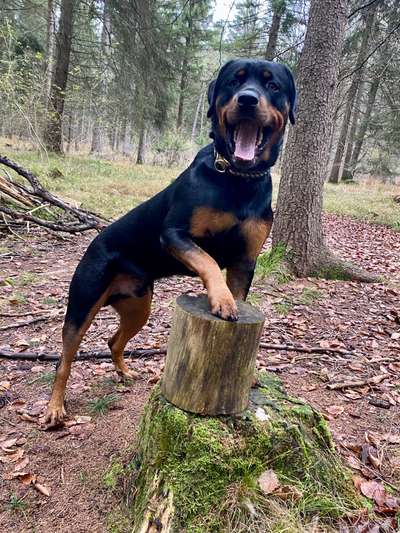 27. Handy Fotochallenge-Beitrag-Bild