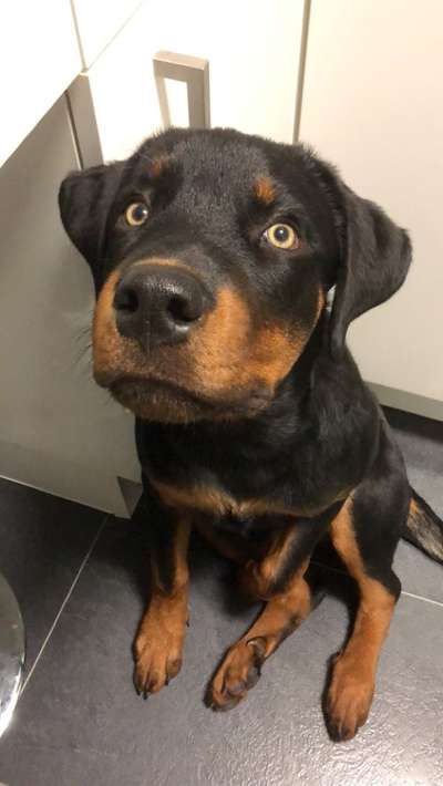 28. Handy-Fotochallenge - Damals und heute-Beitrag-Bild