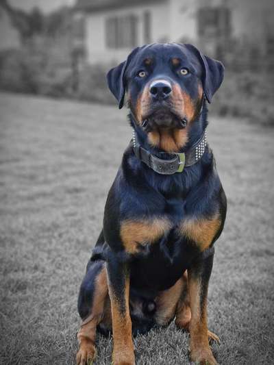 Lieblingsbild-Beitrag-Bild