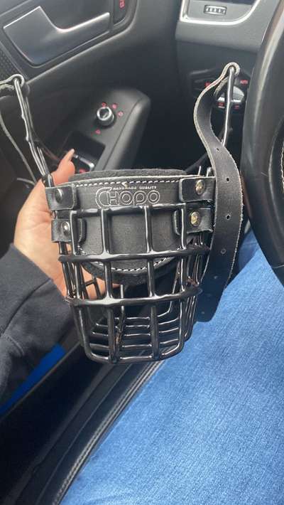 Zeigt mir doch bitte eure Maulkörbe!-Beitrag-Bild