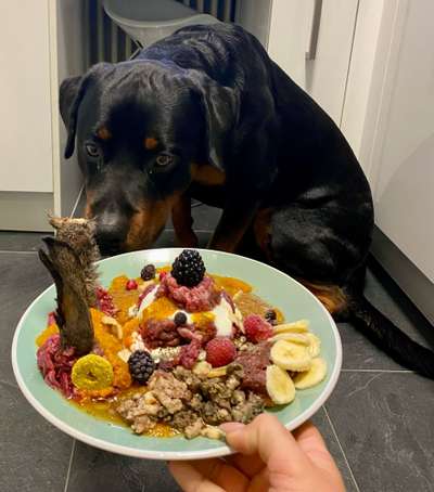 8. Collagen Challenge - Feste/Feierlichkeiten-Beitrag-Bild