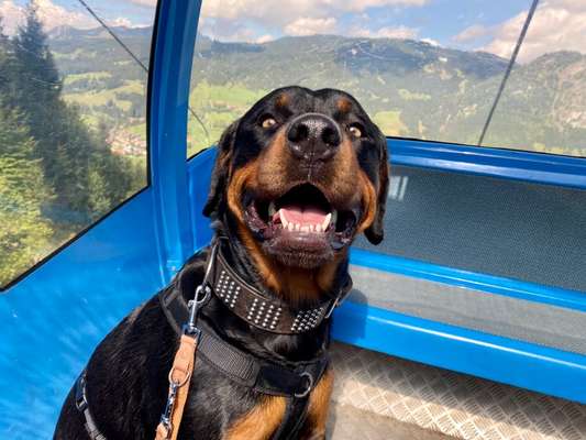 Fotochallenge 101:
On Tour-Beitrag-Bild