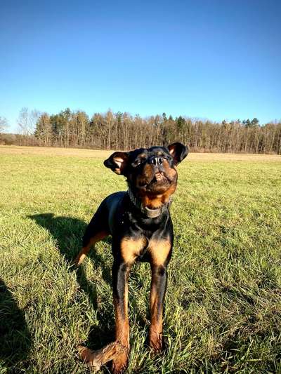 Fotochallenge 110: Lustige und schöne Schnappfotos-Beitrag-Bild