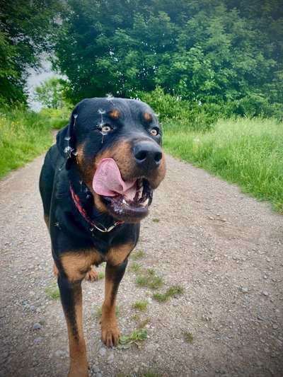 Handyfoto challenge Nr. 13: Waschlappen raus!-Beitrag-Bild