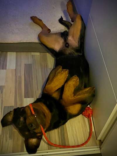 FOTO-Challenge  NR. 91: Die pure Entspannung-Beitrag-Bild