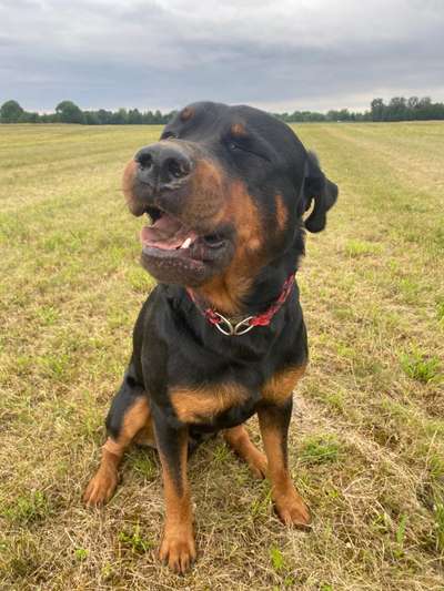 18. Collagen Challenge - Zunge raus!-Beitrag-Bild