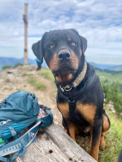 Dogorama Foto Challenge - Wanderziel-Beitrag-Bild