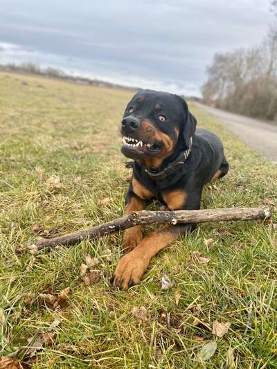 Handy-foto Challange nr. 11-Beitrag-Bild