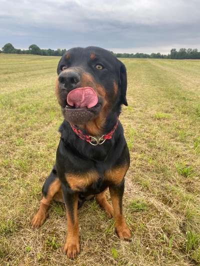 18. Collagen Challenge - Zunge raus!-Beitrag-Bild