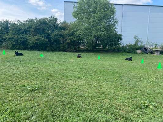 12. Collagen Challenge - Auslastung/Training-Beitrag-Bild