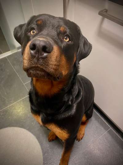 28. Handy-Fotochallenge - Damals und heute-Beitrag-Bild