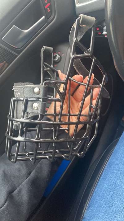 Zeigt mir doch bitte eure Maulkörbe!-Beitrag-Bild