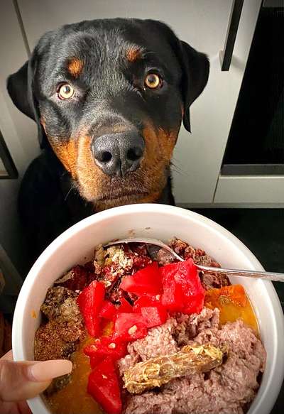 Zeigt her Eure Futternäpfe-Beitrag-Bild