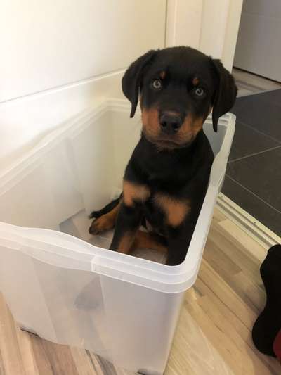 121. Fotochallenge-Beitrag-Bild