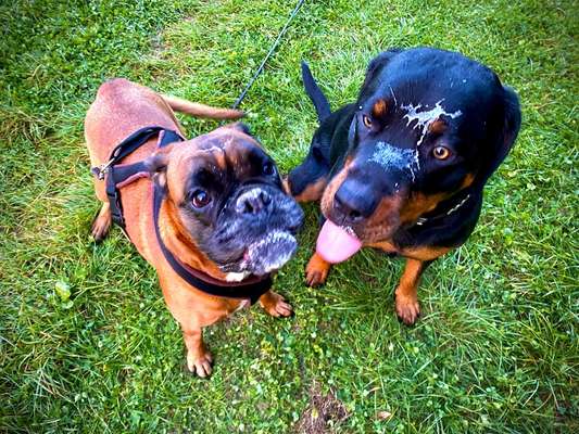 20. Handy -Foto-Callenge-Beitrag-Bild