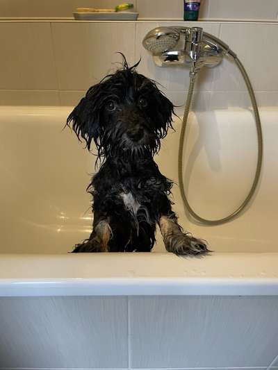 Her mit dem Grimassen-Beitrag-Bild