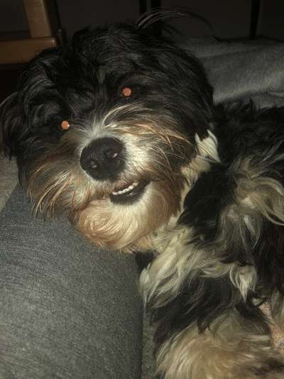 Her mit dem Grimassen-Beitrag-Bild