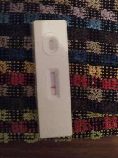 Hundetreffen-Medical Training-Bild