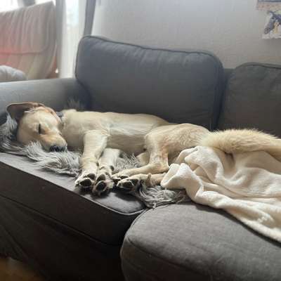 Kann Kuscheln erlernbar sein?-Beitrag-Bild