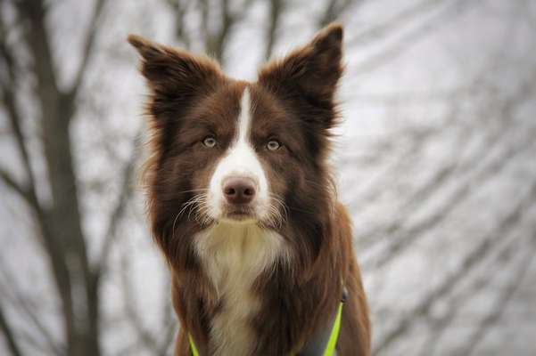 Fotochallange Nr. 57     PORTRÄT.   Beendet!!!!!!!!-Beitrag-Bild