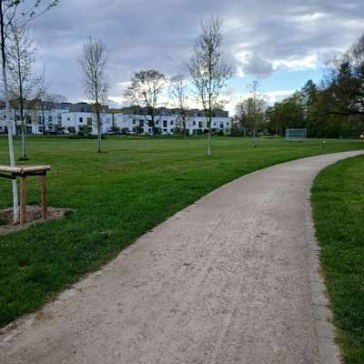 Hundetreffen-Gassi runte in Weckhoven-Bild