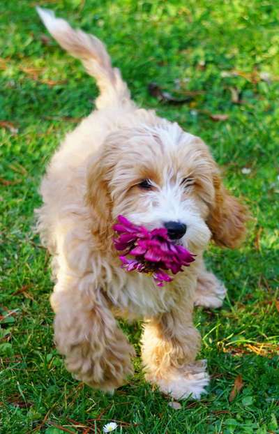 Fotochallenge Nr. 64-Beitrag-Bild