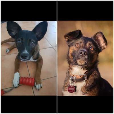 Vorher.... Nachher-Beitrag-Bild