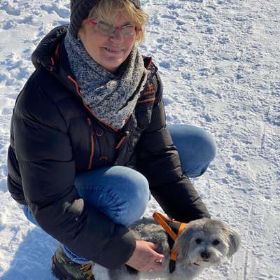 Hundetreffen-Hunde Wiese