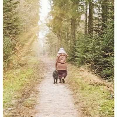 Hundetreffen-Gruppenspaziergang Wittmund-Bild