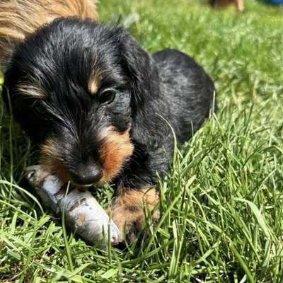 Kerstin's Profilbild